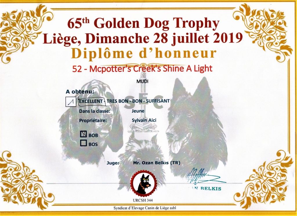 mcpotter's creek's Shine a light - 1er Excellent, Meilleur jeune, Meilleur de race