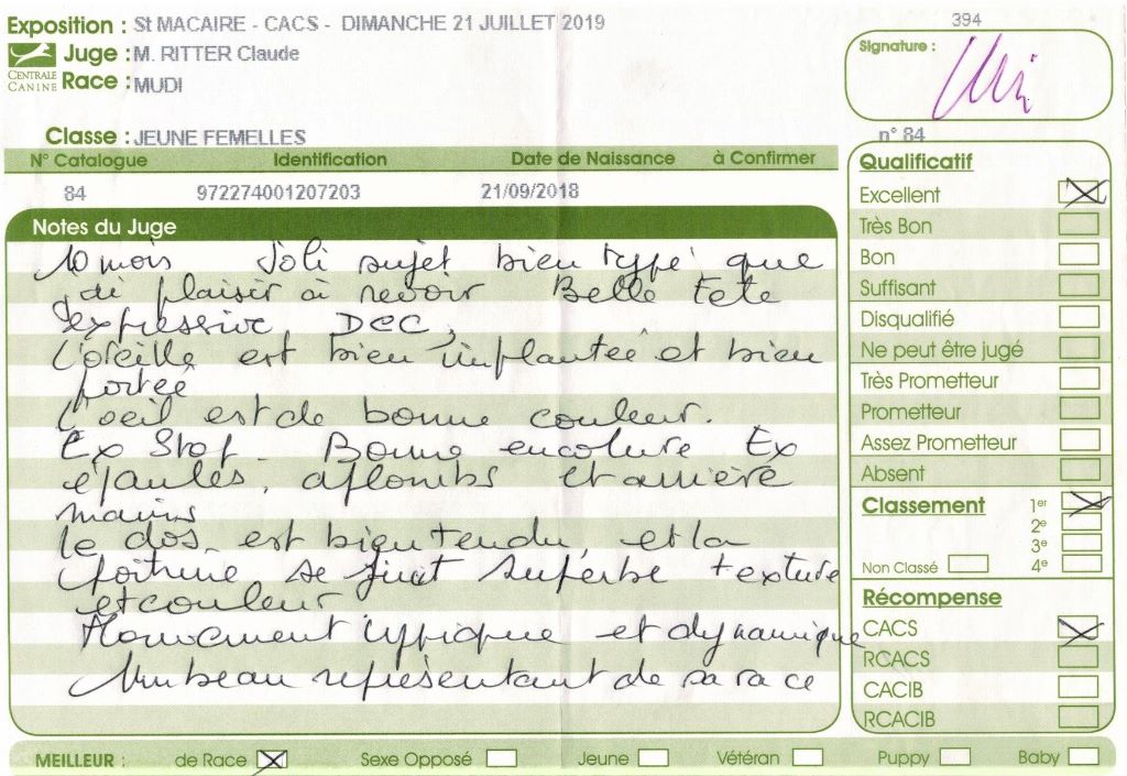 mcpotter's creek's Shine a light - 1er Excellent, Meilleur jeune, Meilleur de race