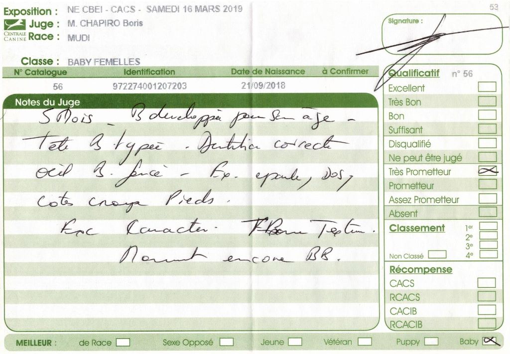 mcpotter's creek's Shine a light - Très prometteur , Meilleur Baby