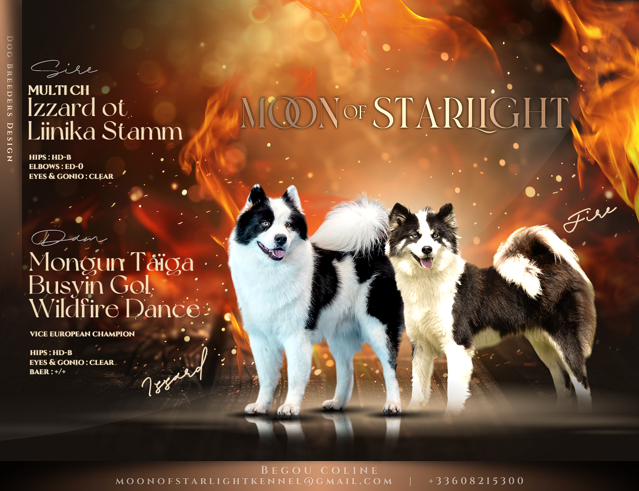 Laika de iakoutie - Moon Of Starlight