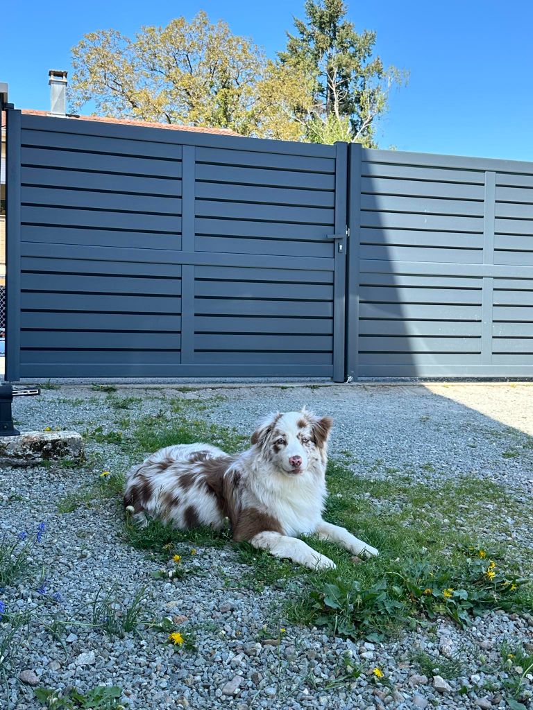 The total red  Of The Lion City