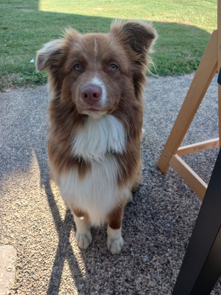 The total red  Of The Lion City