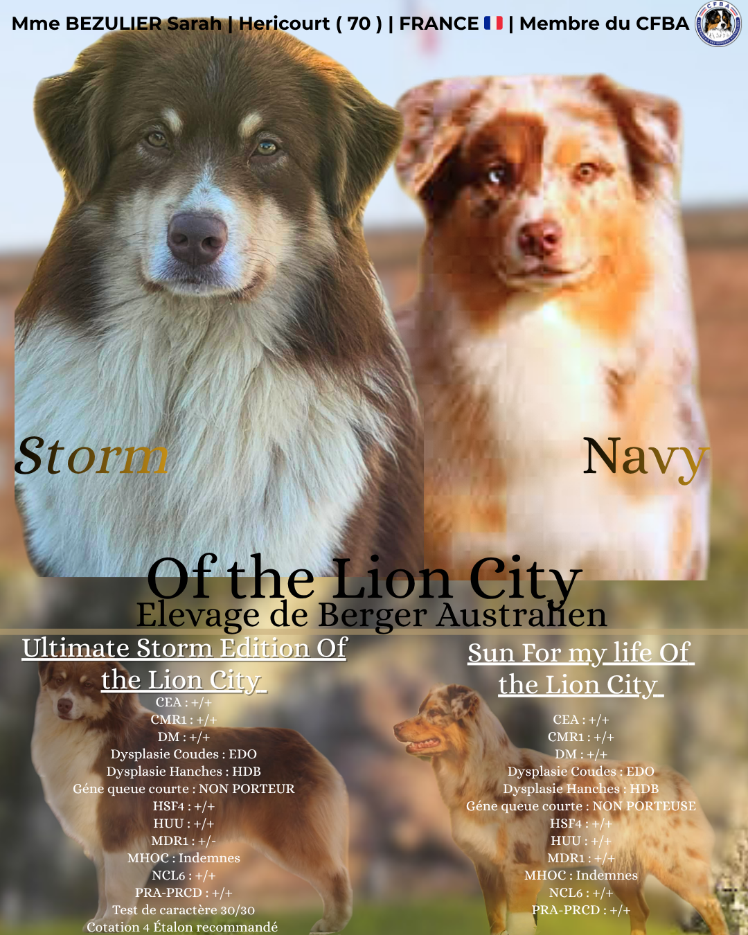 Berger Australien - Of The Lion City