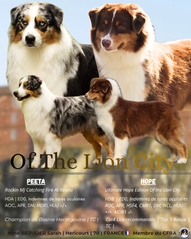 Berger Australien - Of The Lion City