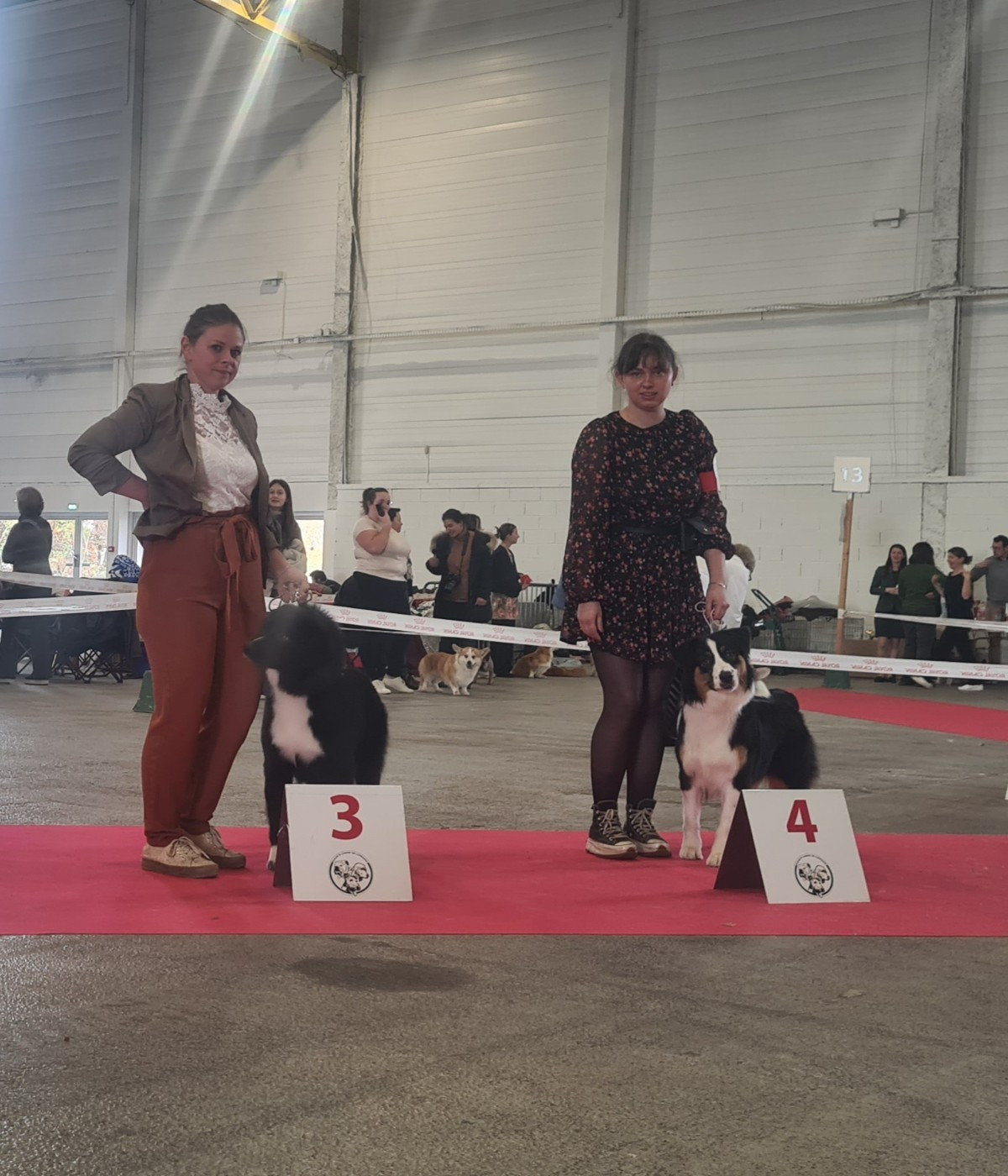 Valentine's day De La Tour Brune - 4éme EXC