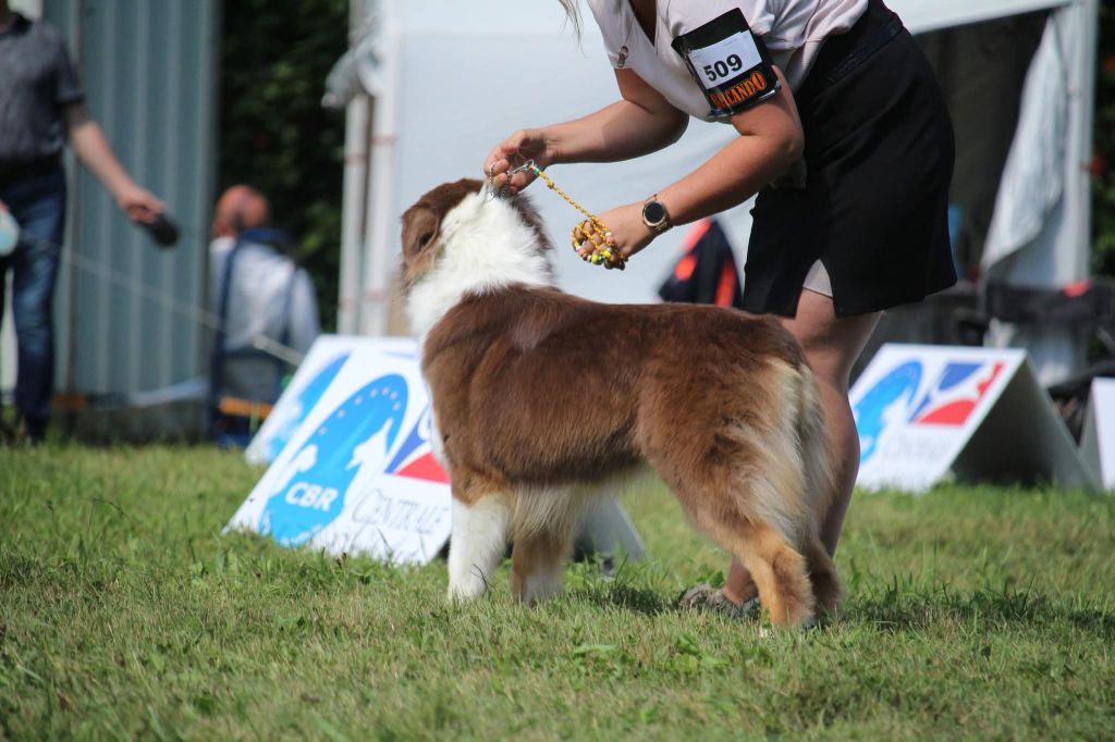 Ultimate hope edition Of The Lion City - 2ème Excellent