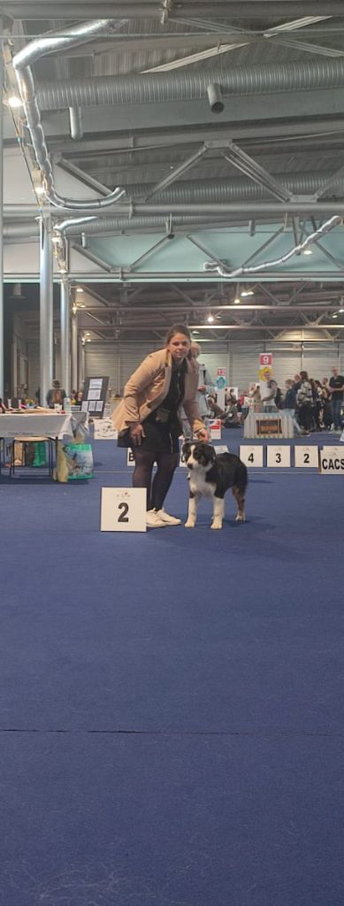 Valentine's day De La Tour Brune - 2éme Trés Prometteur