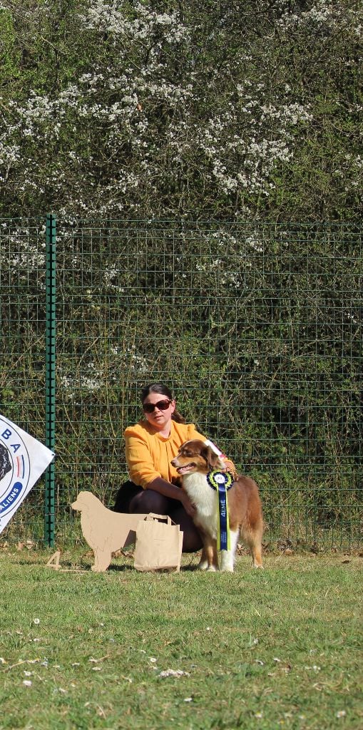 Ultimate hope edition Of The Lion City - 4eme EXCELLENT