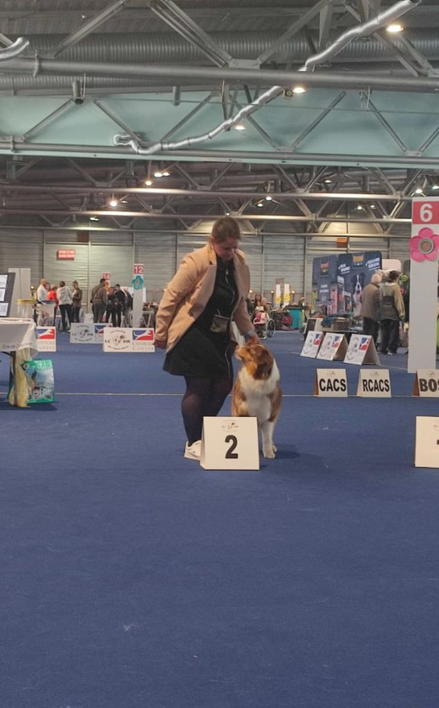 Ultimate hope edition Of The Lion City - 2éme EXCELLENT