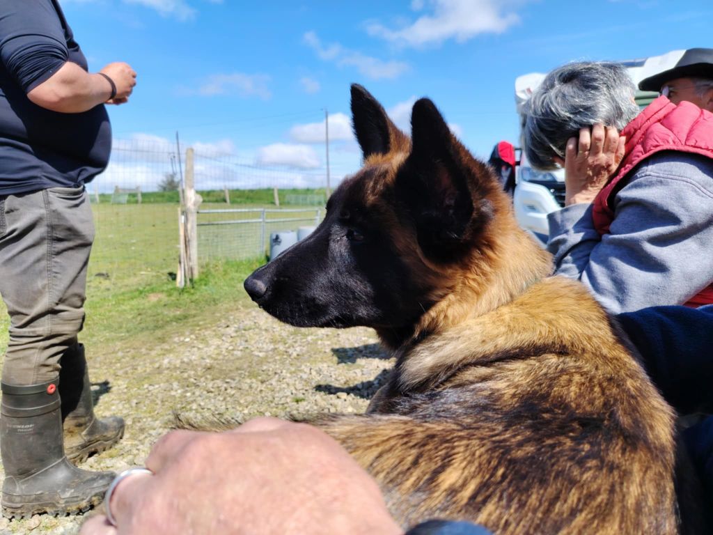 Valkiry des mystères de Teotihuacan