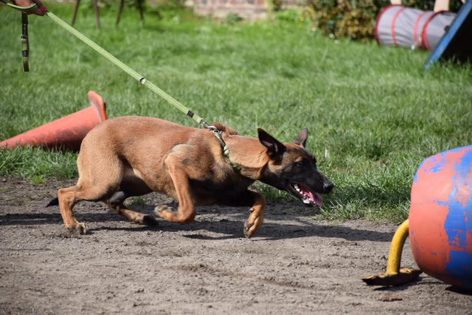 Quivala P'ti Monde D'Isakt1