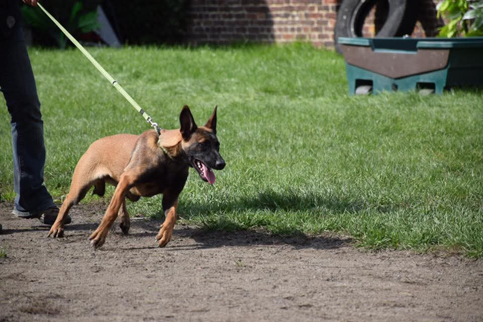 Quivala P'ti Monde D'Isakt1