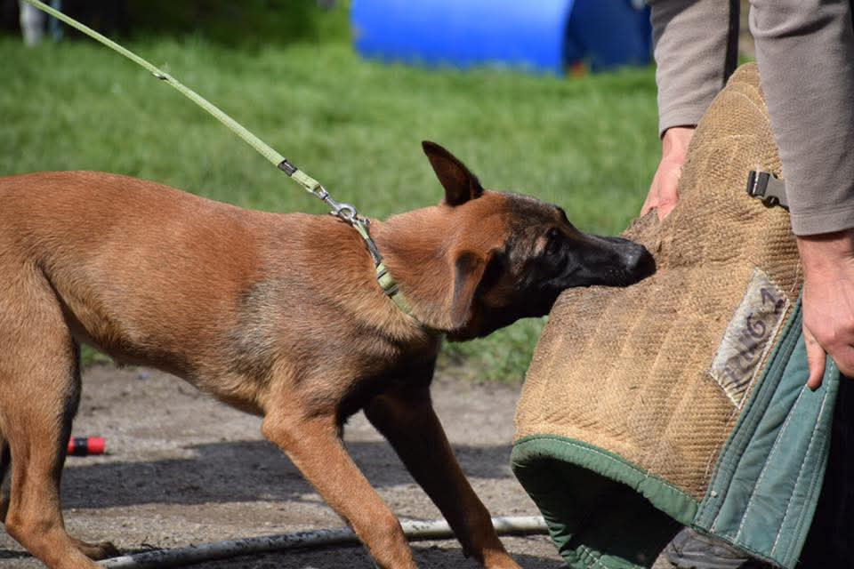 Quivala P'ti Monde D'Isakt1