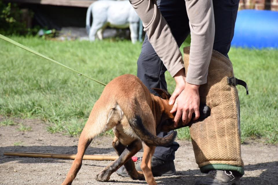 Quivala P'ti Monde D'Isakt1