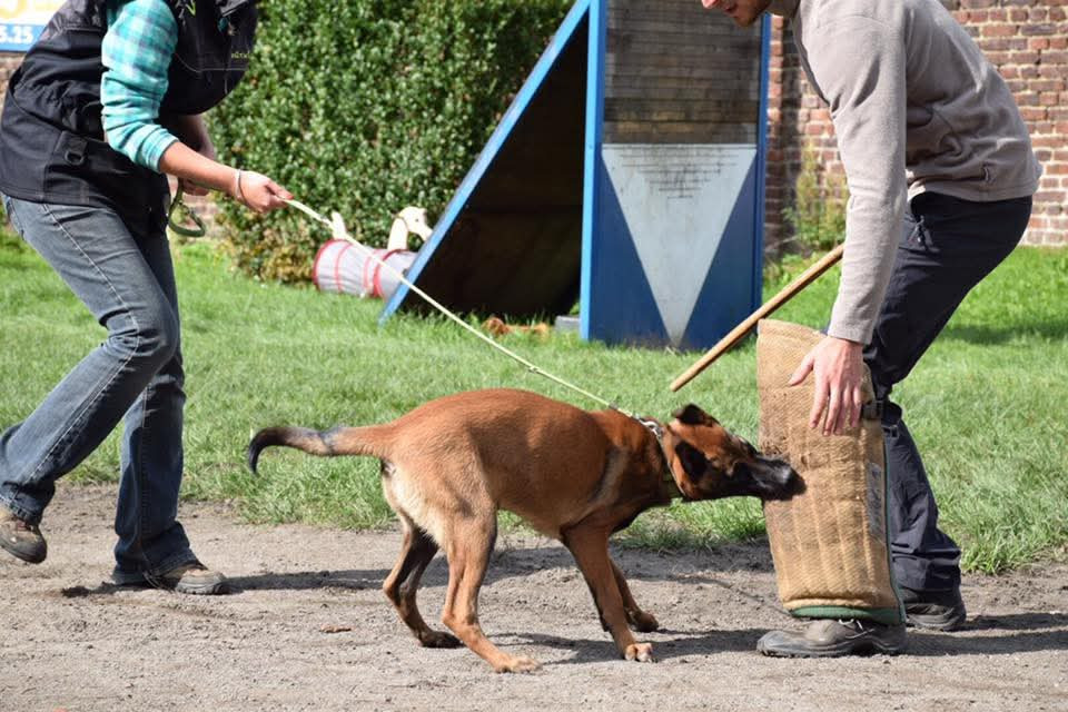 Quivala P'ti Monde D'Isakt1