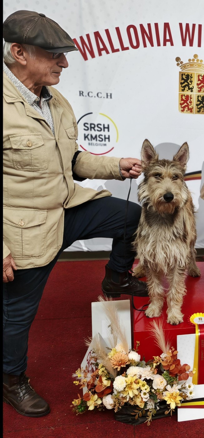 Vyctoire Des Bergers Du Desert
