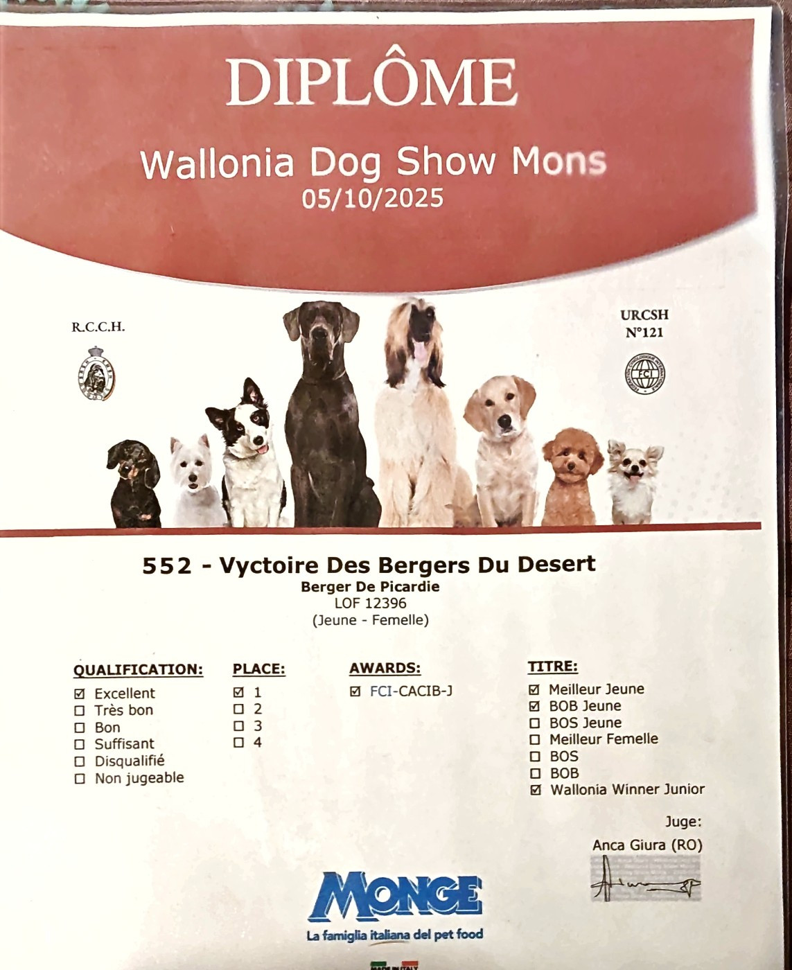 Vyctoire Des Bergers Du Desert