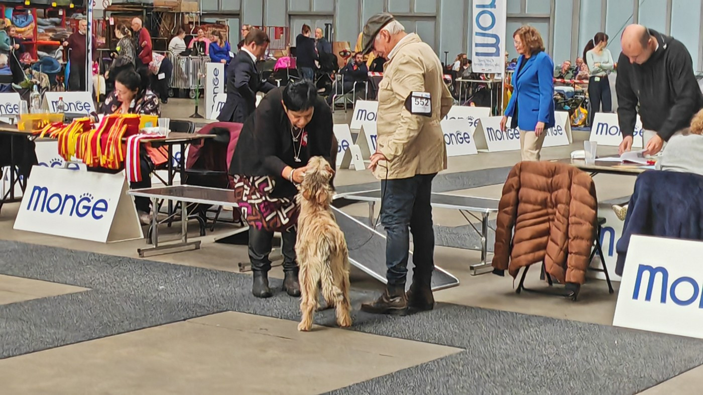 Vyctoire Des Bergers Du Desert
