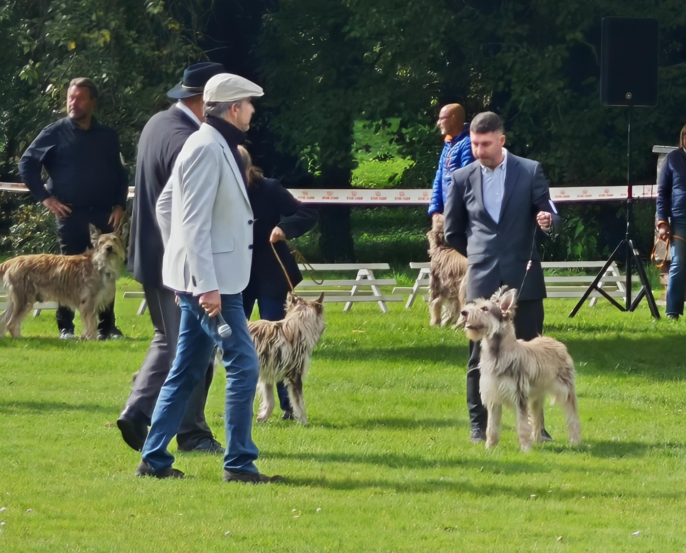Vyctoire Des Bergers Du Desert