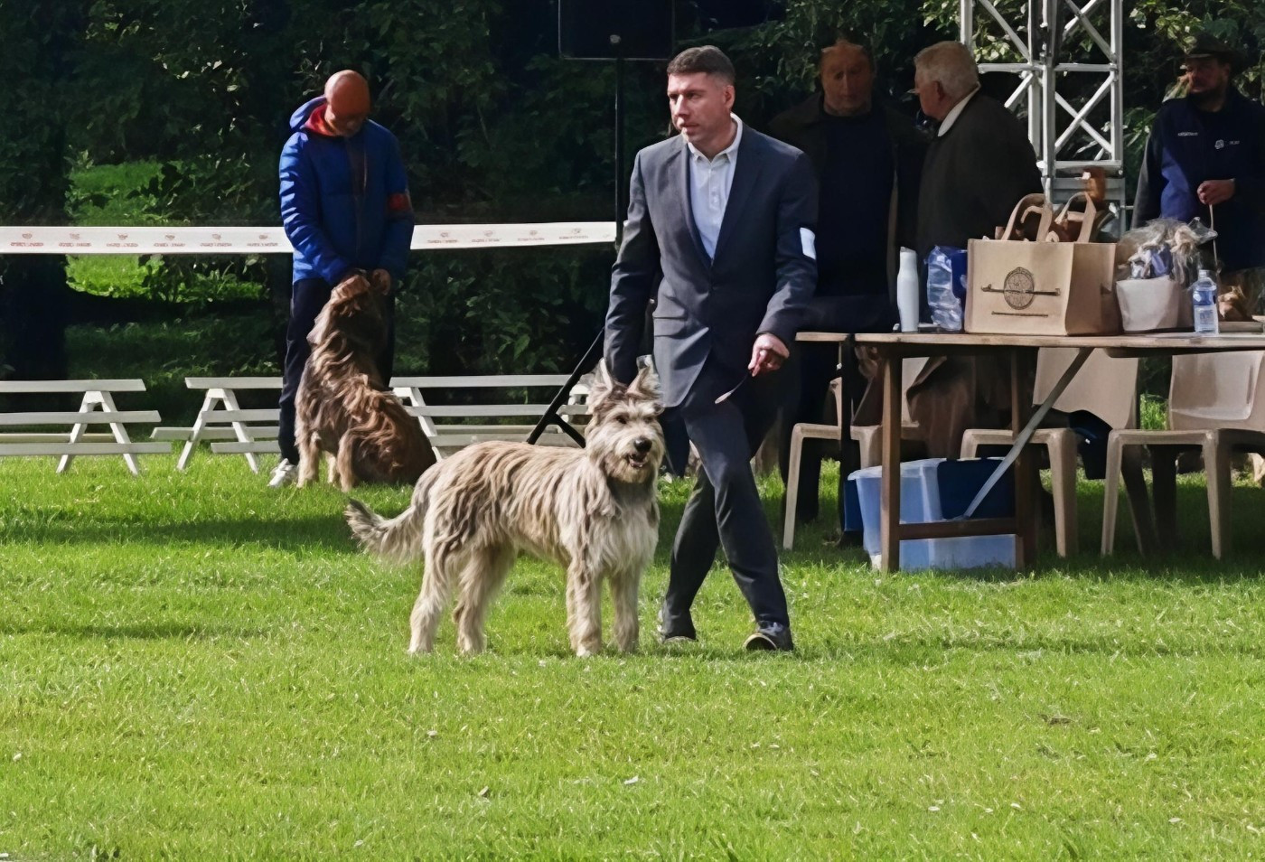 Vyctoire Des Bergers Du Desert