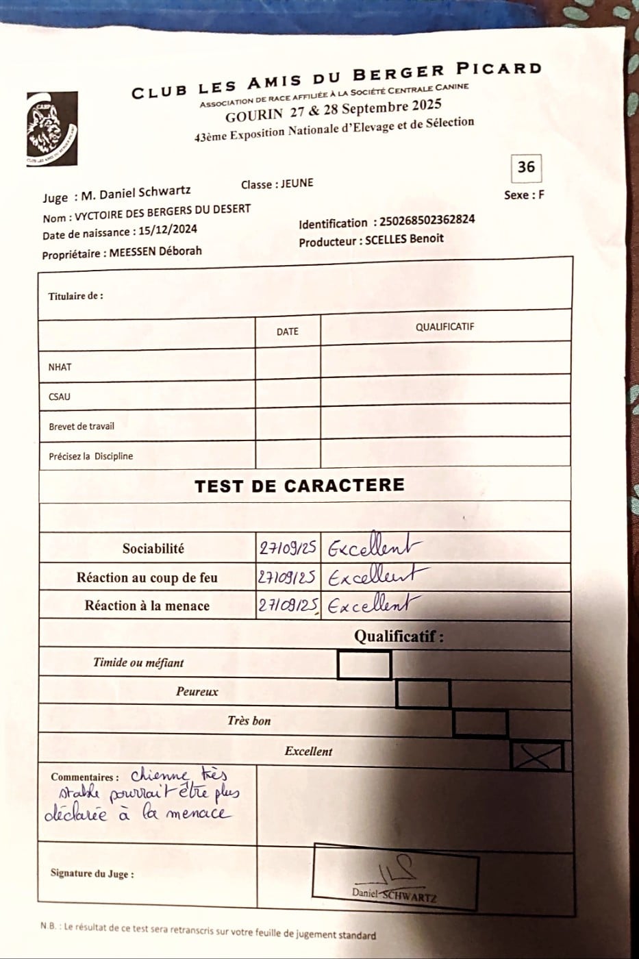 Vyctoire Des Bergers Du Desert