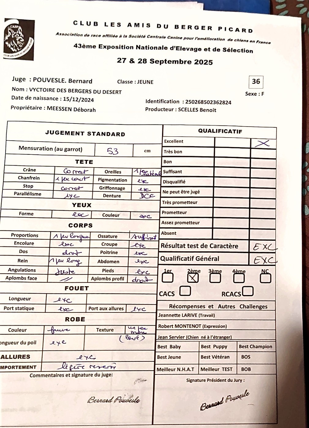 Vyctoire Des Bergers Du Desert