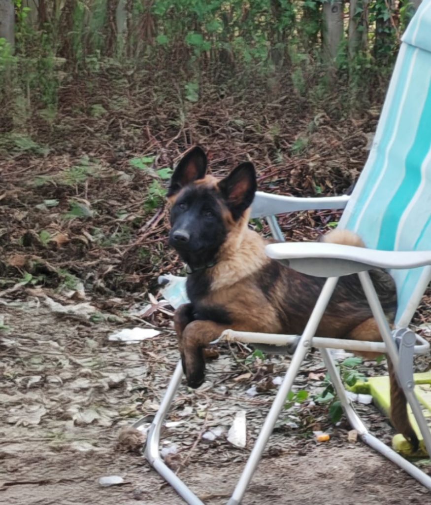 Valkiry des mystères de Teotihuacan