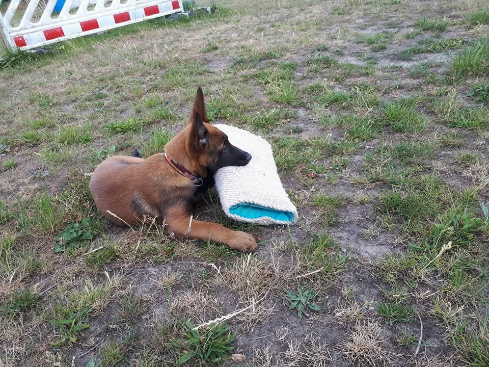 Quivala P'ti Monde D'Isakt1