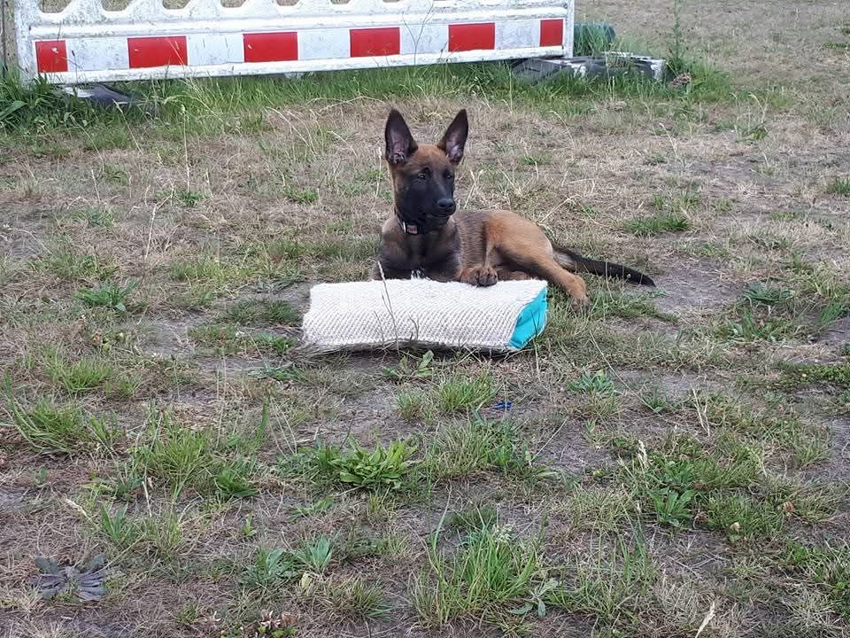 Quivala P'ti Monde D'Isakt1