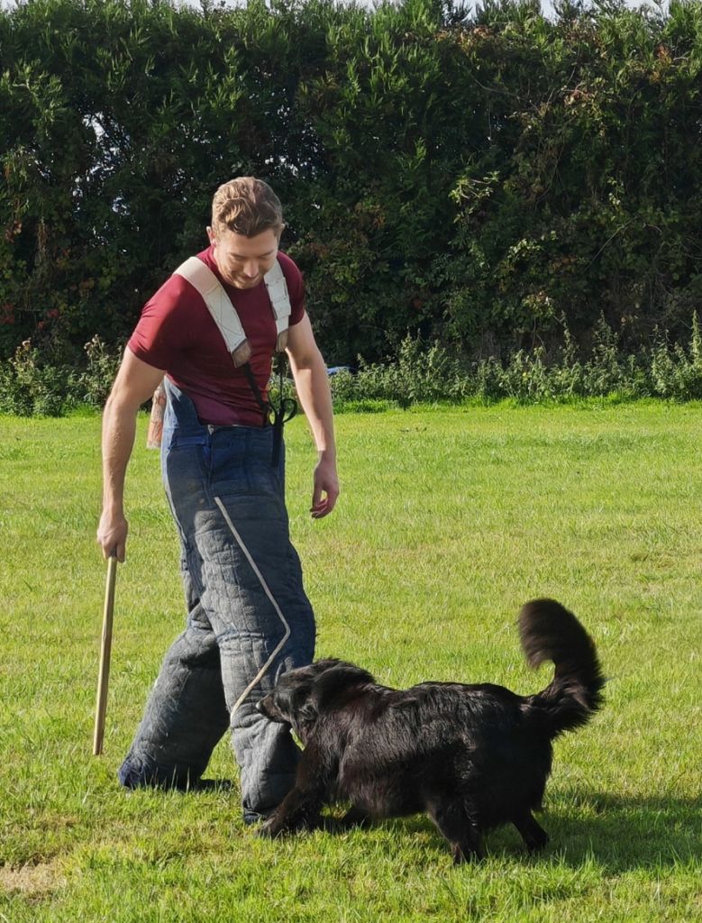 Swann dite snow de la Vallée des Suessiones