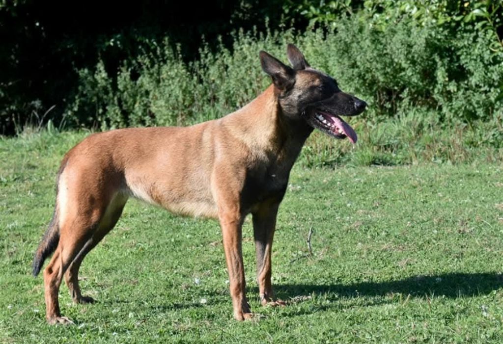 Quivala P'ti Monde D'Isakt1