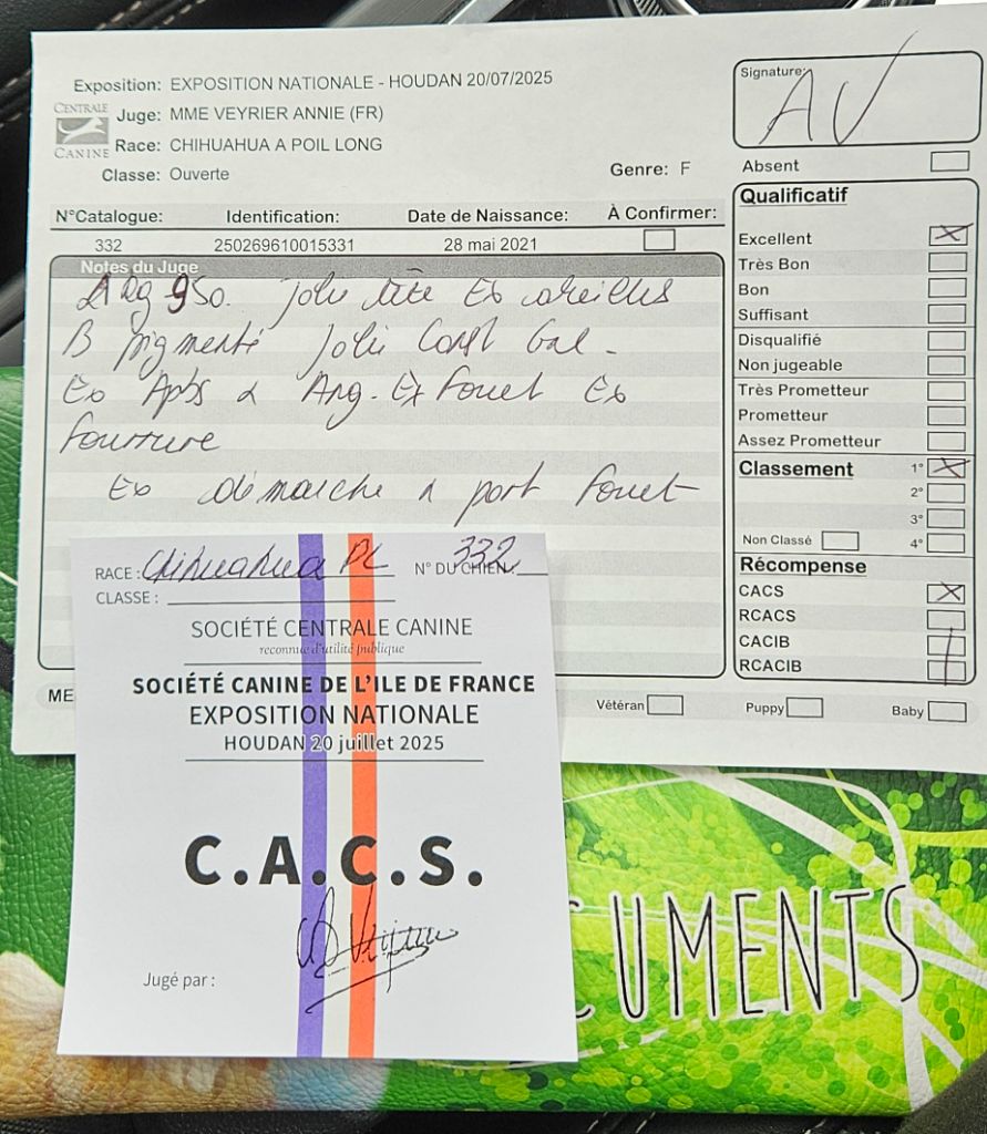 Shelby Des Perles Du Plessis - 1er Excellent et CACS