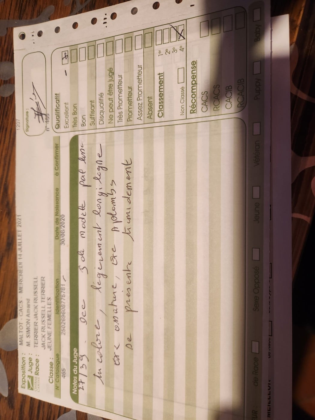 Royale Du Domaine Des Deux étoiles - 4 ème excellent