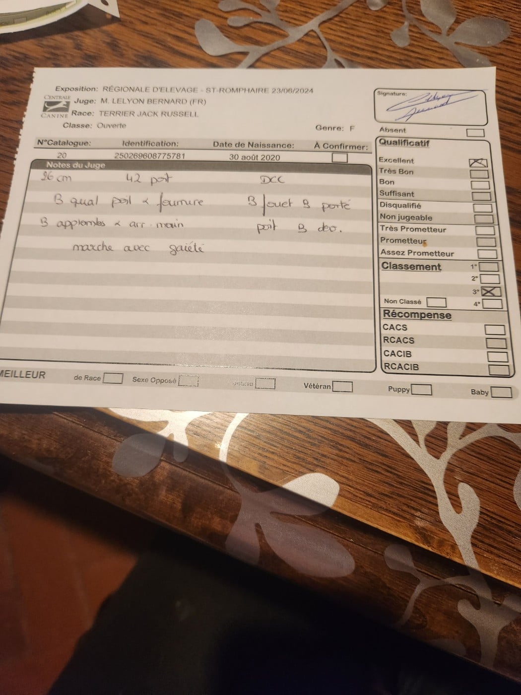 Royale Du Domaine Des Deux étoiles - 2 ème excellent