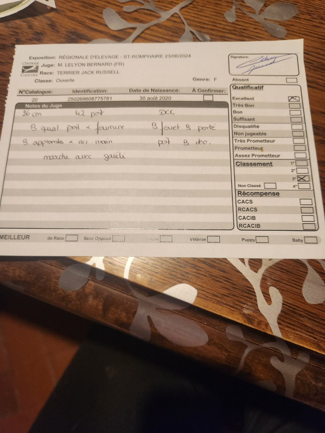 Royale Du Domaine Des Deux étoiles - 3 ème excellent