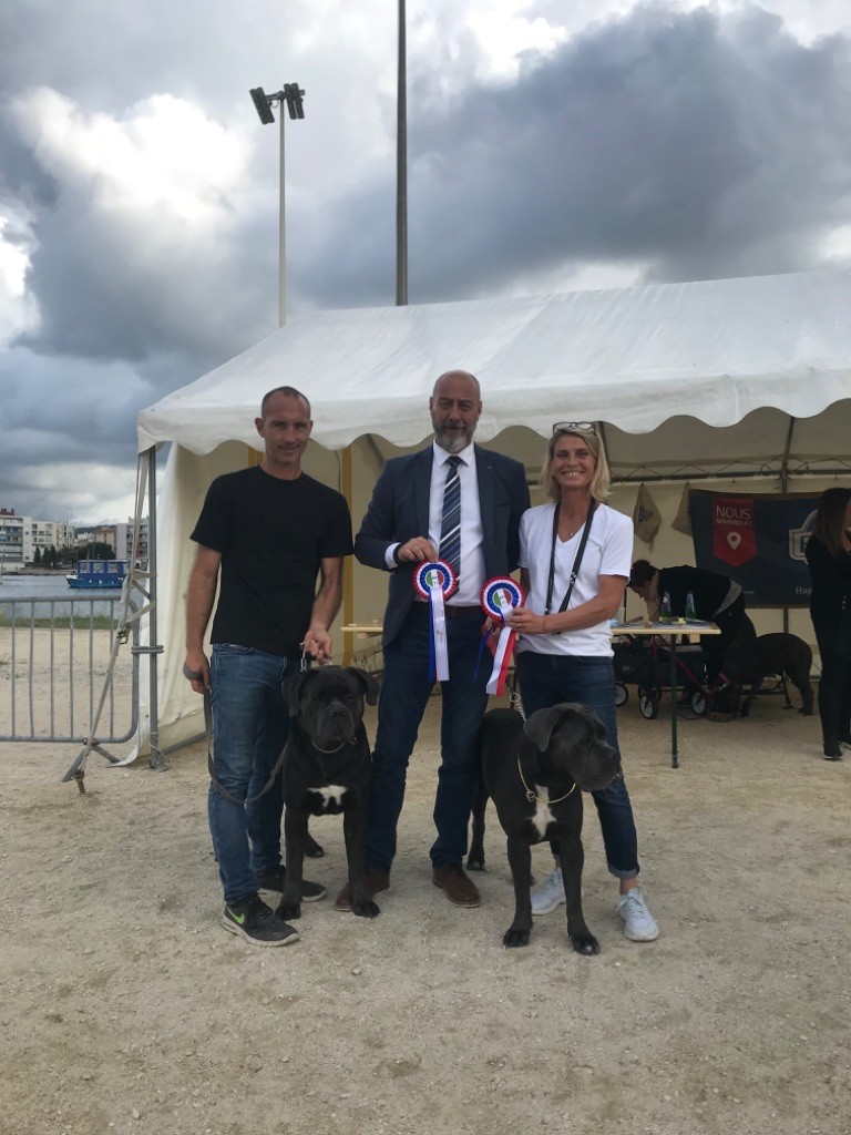 CH. Raiko Des Gardiens Des Sept Collines - 2ème excellent classe champion