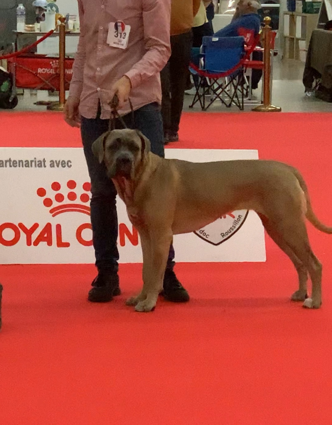 Vickie Des Gardiens Des Sept Collines - 2eme très bon classe intermédiaire
