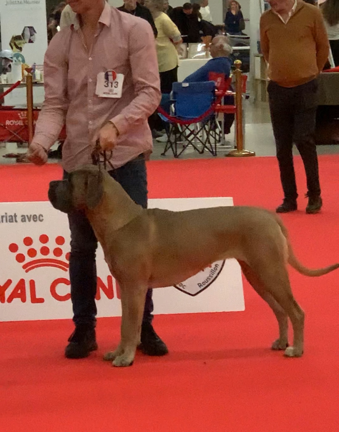 Vickie Des Gardiens Des Sept Collines - 2eme très bon