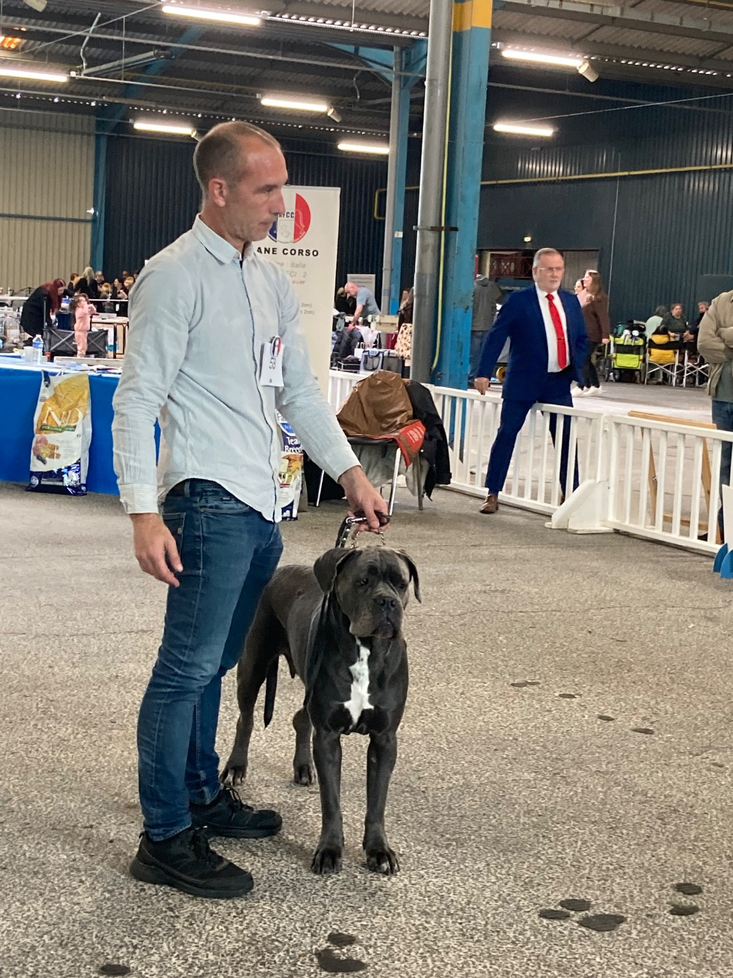 CH. Sydney Des Gardiens Des Sept Collines - 1er excellente classe champion CACIB meilleur sexe opposé