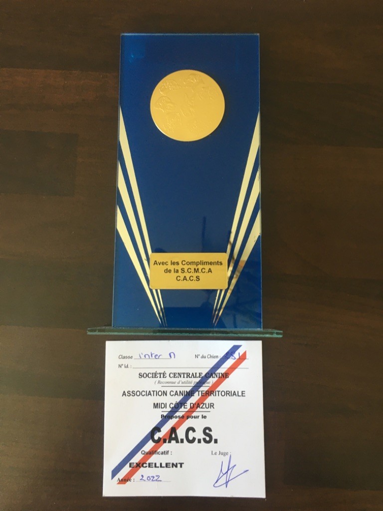 CH. Raiko Des Gardiens Des Sept Collines - 1er excellent classe intermédiaire CACS