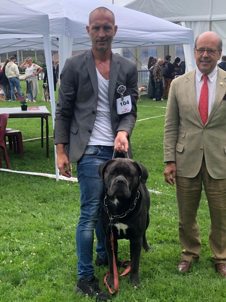 CH. Raiko Des Gardiens Des Sept Collines - 1er excellent classe champion Meilleur champion Meilleur de Race