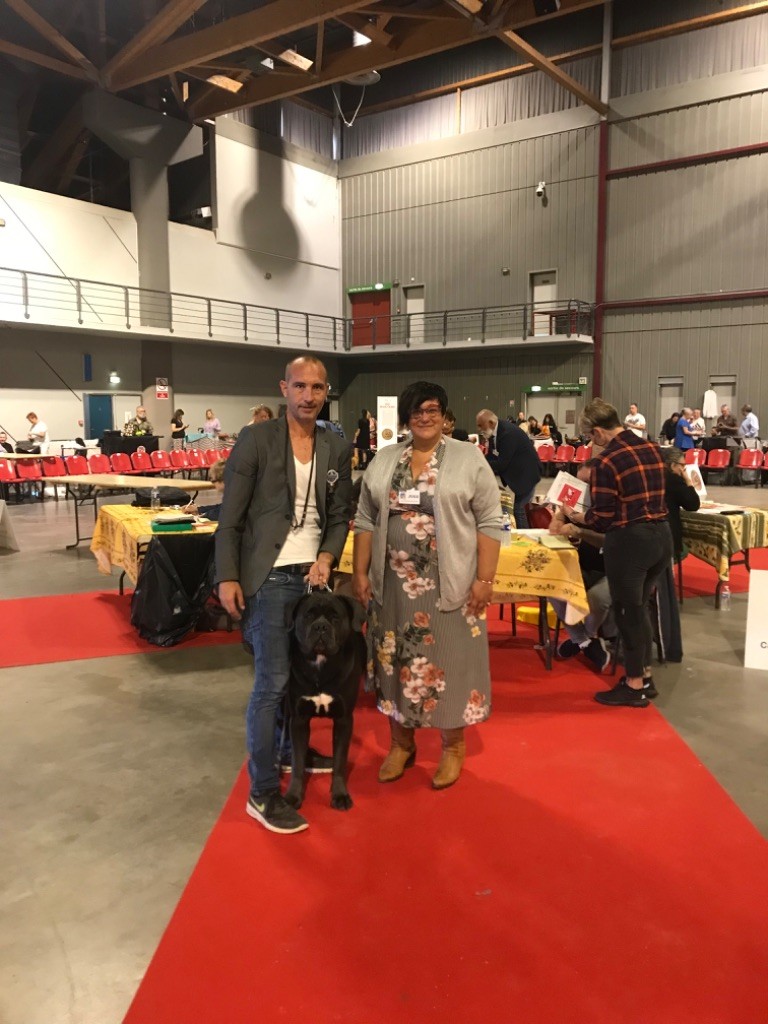 CH. Raiko Des Gardiens Des Sept Collines - 1er excellent classe champion CACIB meilleur de sexe opposé