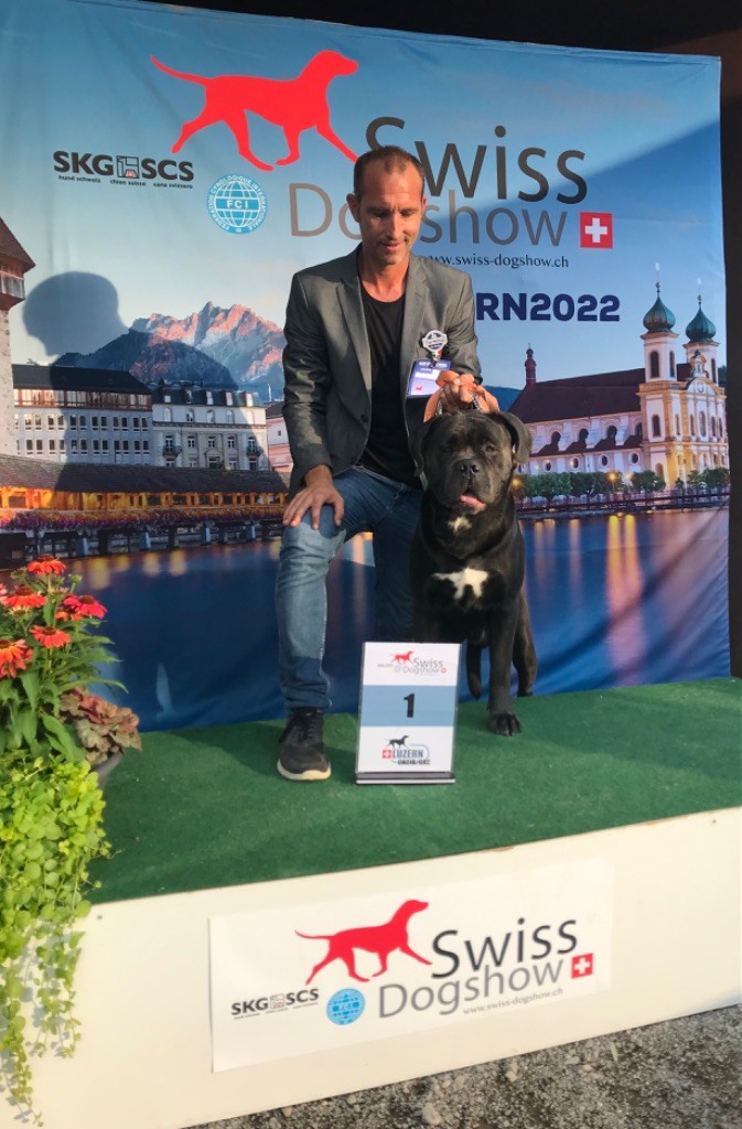 CH. Raiko Des Gardiens Des Sept Collines - 1er excellent classe ouvert CACS CACIB Meilleur de sexe opposé