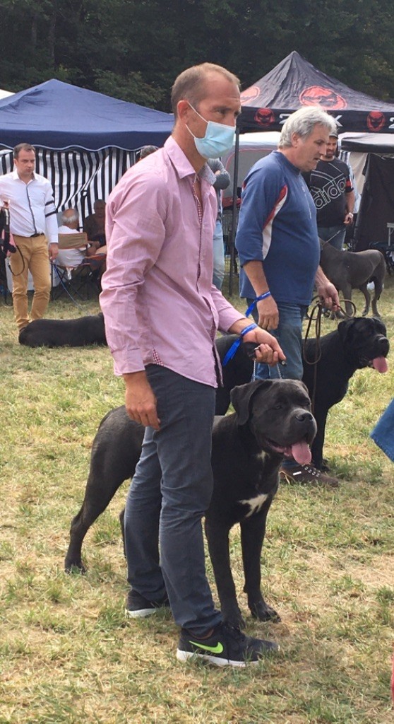 CH. Raiko Des Gardiens Des Sept Collines - 2ème jeune mâle