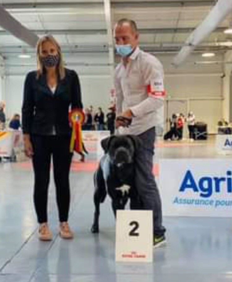 CH. Raiko Des Gardiens Des Sept Collines - 2ème classe jeune