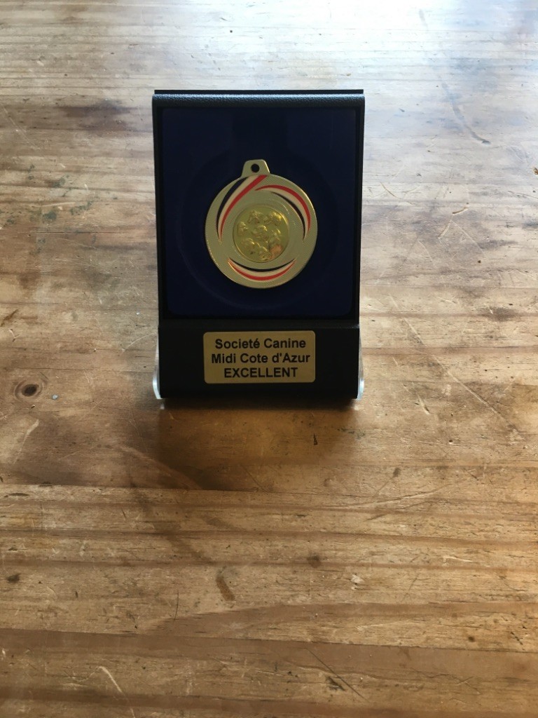 CH. Raiko Des Gardiens Des Sept Collines - 2ème excellent classe jeune