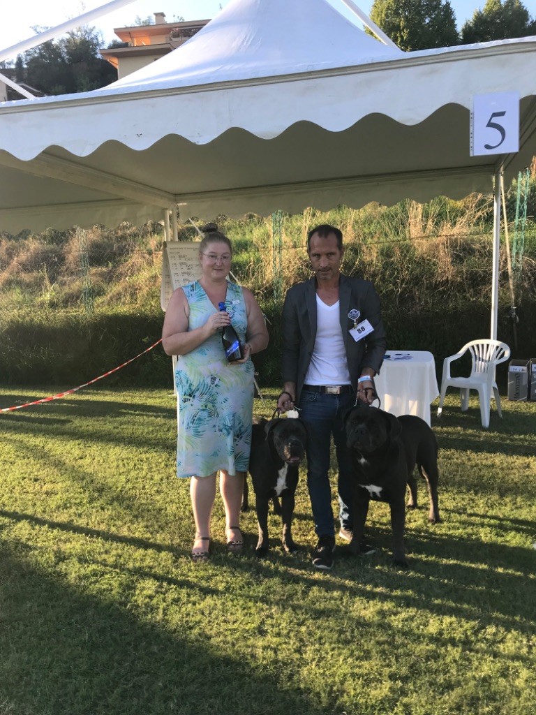 CH. Raiko Des Gardiens Des Sept Collines - 1 excellent classe champion CACS Meilleur de Race