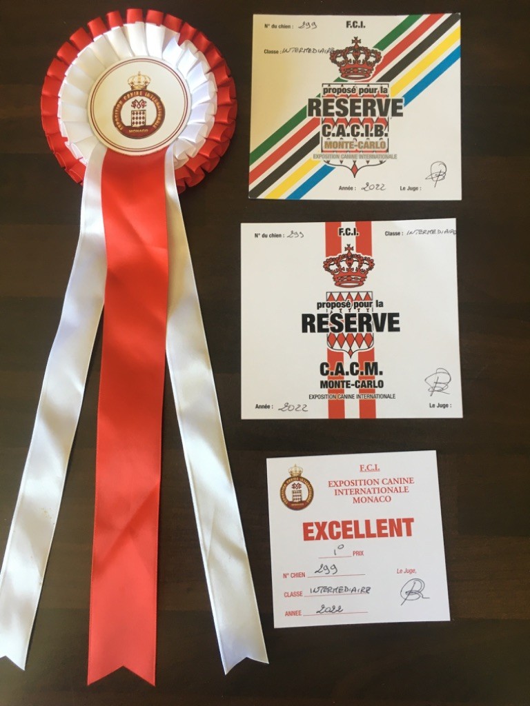 CH. Raiko Des Gardiens Des Sept Collines - 1er excellent classe intermédiaire RCACIB RCACM