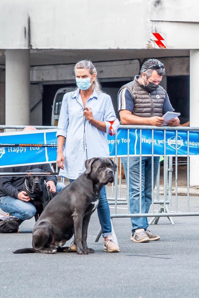 CH. Raiko Des Gardiens Des Sept Collines - 3ème excellent classe jeune