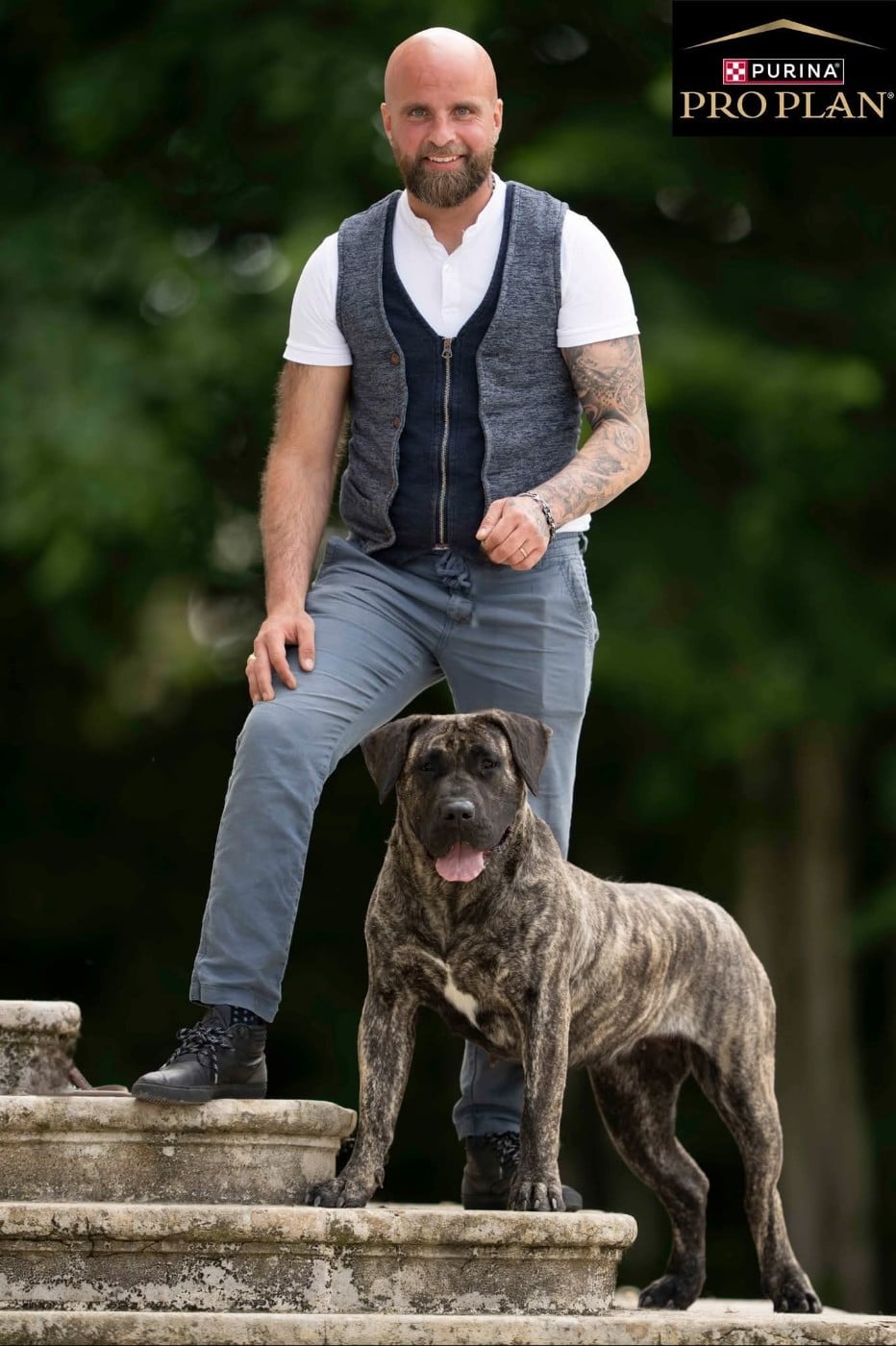 CH. Una bomba Du Royaume De Lutece